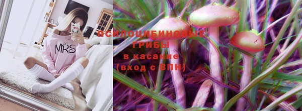 Альфа ПВП Алексин